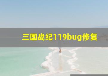 三国战纪119bug修复