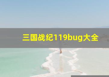 三国战纪119bug大全