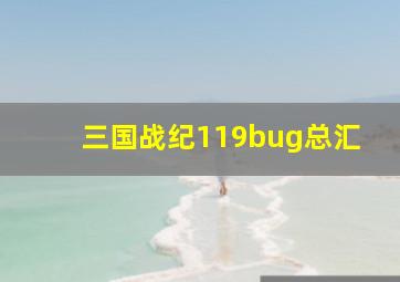 三国战纪119bug总汇