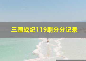 三国战纪119刷分分记录