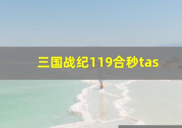 三国战纪119合秒tas