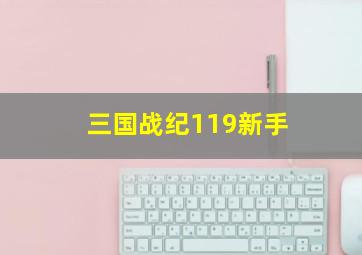 三国战纪119新手