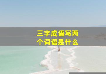 三字成语写两个词语是什么