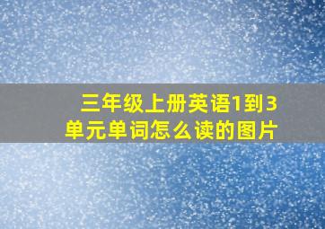 三年级上册英语1到3单元单词怎么读的图片