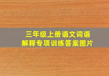 三年级上册语文词语解释专项训练答案图片