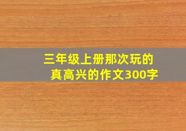 三年级上册那次玩的真高兴的作文300字