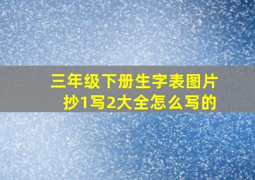 三年级下册生字表图片抄1写2大全怎么写的