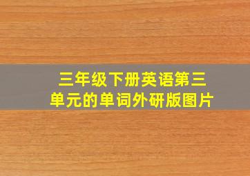 三年级下册英语第三单元的单词外研版图片