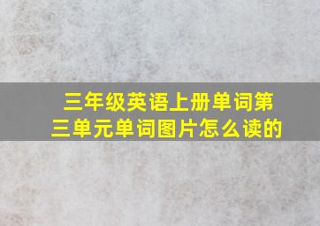 三年级英语上册单词第三单元单词图片怎么读的