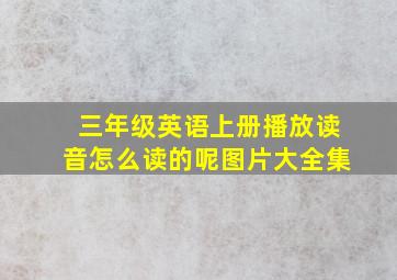 三年级英语上册播放读音怎么读的呢图片大全集