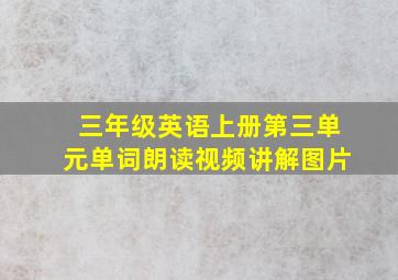 三年级英语上册第三单元单词朗读视频讲解图片