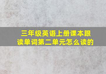 三年级英语上册课本跟读单词第二单元怎么读的