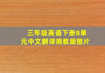 三年级英语下册8单元中文翻译湘教版图片