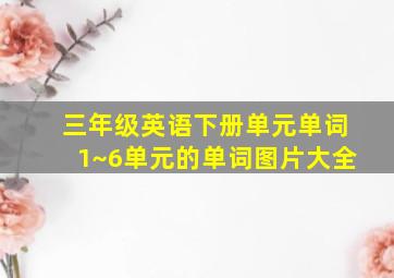 三年级英语下册单元单词1~6单元的单词图片大全