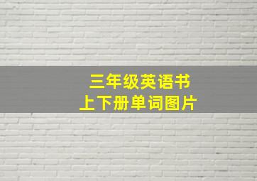 三年级英语书上下册单词图片