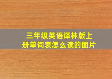 三年级英语译林版上册单词表怎么读的图片