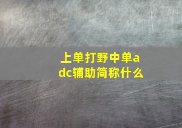 上单打野中单adc辅助简称什么