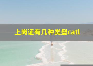 上岗证有几种类型catl