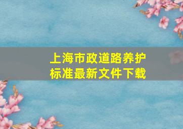 上海市政道路养护标准最新文件下载