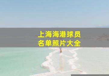 上海海港球员名单照片大全