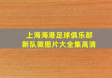 上海海港足球俱乐部新队徽图片大全集高清