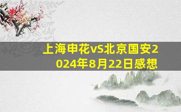 上海申花vS北京国安2024年8月22日感想