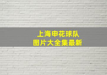 上海申花球队图片大全集最新