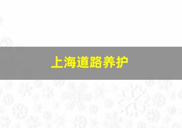 上海道路养护