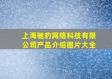 上海驰豹网络科技有限公司产品介绍图片大全