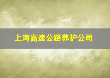 上海高速公路养护公司