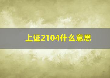 上证2104什么意思