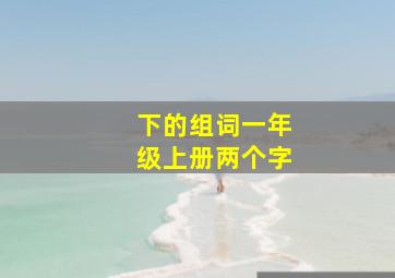 下的组词一年级上册两个字