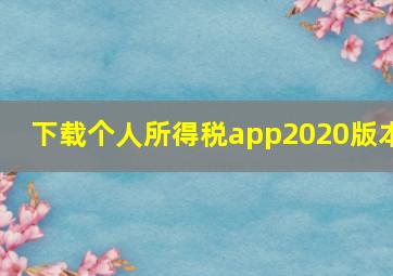 下载个人所得税app2020版本