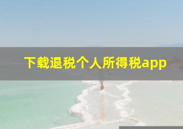 下载退税个人所得税app