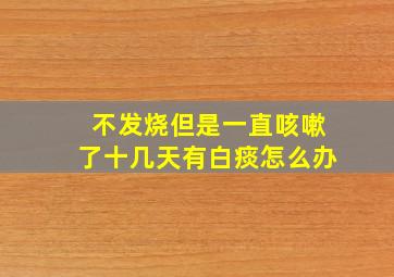 不发烧但是一直咳嗽了十几天有白痰怎么办