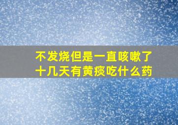 不发烧但是一直咳嗽了十几天有黄痰吃什么药