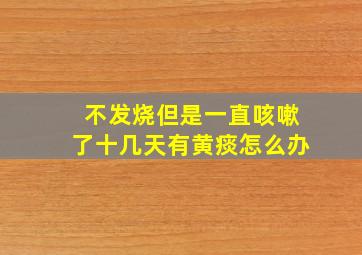 不发烧但是一直咳嗽了十几天有黄痰怎么办