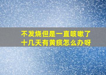 不发烧但是一直咳嗽了十几天有黄痰怎么办呀