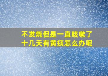 不发烧但是一直咳嗽了十几天有黄痰怎么办呢