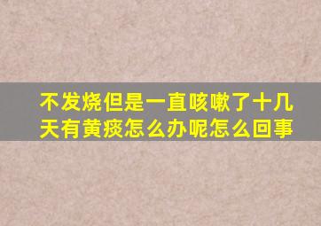 不发烧但是一直咳嗽了十几天有黄痰怎么办呢怎么回事