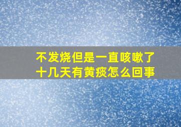 不发烧但是一直咳嗽了十几天有黄痰怎么回事