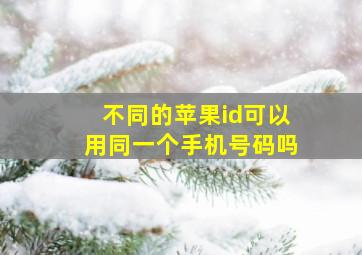 不同的苹果id可以用同一个手机号码吗