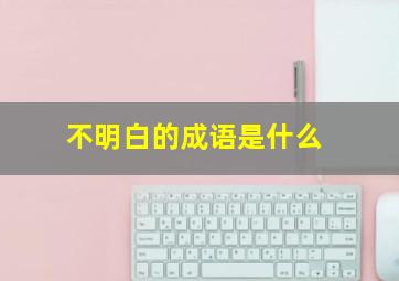 不明白的成语是什么