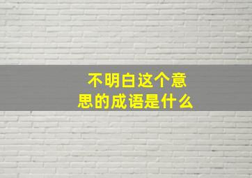 不明白这个意思的成语是什么