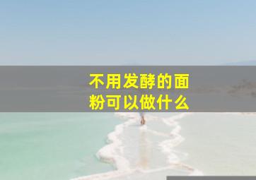 不用发酵的面粉可以做什么