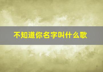 不知道你名字叫什么歌