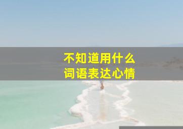 不知道用什么词语表达心情