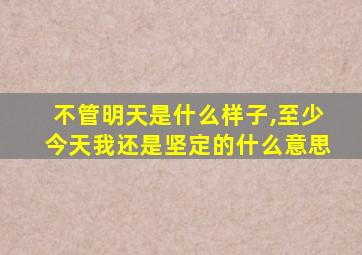 不管明天是什么样子,至少今天我还是坚定的什么意思