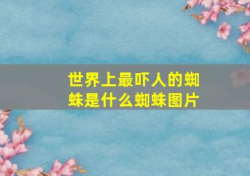 世界上最吓人的蜘蛛是什么蜘蛛图片