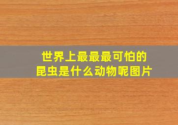 世界上最最最可怕的昆虫是什么动物呢图片